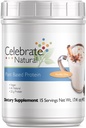 Celebrate Vitamins Vegan Protein Powder - All Natural Plant Based Protein Shake Mix - 20g Pea Protein & 3g Fiber, för Post-Bariatric Surgery - Vanilla Chai (15 portioner)