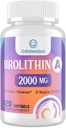 Urolithin Ett tillägg 2000 mg