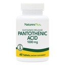 NaturesPlus Pantothenic Acid, Sustained Release - 1000 mg, 60 tabletter - Vitamin B5 Supplement - Vegetarisk, Glutenfri - 60 portioner