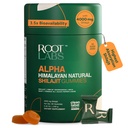10-i-1 Alpha Shilajit Gummies | 4000 mg Pure Himalayan Shilajit, Tongkat Ali, Maca Root, 75% Fulvic Acid | ShilAbsorb Bioavailability Tech | Sugar-Free Vegan, 85 + Trace Minerals | 60 Pack