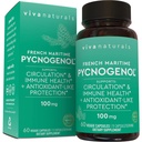 Viva Naturals Pycnogenol - 100mg French Maritime Pine Bark Extract - Stöder cirkulation, antioxidantlik aktivitet, gemensamma och immun hälsa och funktion - 60 Veggie kapslar
