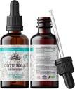 Gotu Kola Tincture, Organic Gotu Kola Extract, Gotu Kola Drops (Centella Asiatica) Torkade Herb