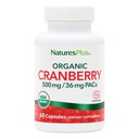 NaturesPlus Organic Cranberry 500 mg - 60 Capsules - Helps Promote Healthy Urinary Tract - USDA Certified Organic, Vegan, Gluten Free, Non-GMO - 30 Servings