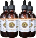 Saw Palmetto Liquid Extract, Organic Saw Palmetto (Serenoa Repens) Tinktur, Herbal Supplement, Hawaii Pharm, Made in USA, 4x4 fl.oz