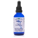 Eidon Liquid Silica Mineral Concentrate - Silica Supplement för hår, hud och naglar, droppar för att stödja Collagen Production, hjälper till att hantera Calcium, No Added Sugar - 2 oz