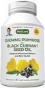 ANDREW LESSMAN Evening Primrose och Black Currant Seed Oil 60 Softgels - Soothes Physical Discomfort and Mood Swings På grund av Menstrual Cycle, med Gamma-Linolenic, Omega-6 Fatty Acids, Inga tillsatser