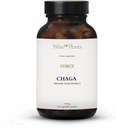 Chaga Mushroom Supplement. Dual Extract, Pure Fruiting Body, 30% Polysaccharides, 500 mg, 120 vegecaps (120-Day Supply). Can support healthy digestive, immune function and promote heart health.