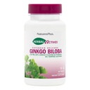 Natures Plus Herbal Actives Ginkgo Biloba, Extended Release - 120 mg, 60 Vegan tabletter - Vegetarisk, glutenfri - 60 portioner