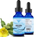 Absonutrix Mullein 300 mg, 4 Oz Liquid, 300 Servings, Made in USA, Quick Absorption, Quality Potent Ingredients, Non-GMO, GMP Certified Facility, Cruelty-Free Products